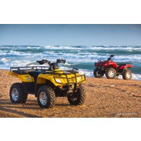 Квадроцикл Stels ATV 400 Hunter