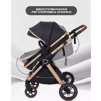 Универсальная коляска Rant Basic Roller Gold RA161 (2 в 1, black)