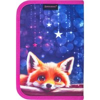 Пенал BRAUBERG 272318