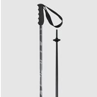 Лыжные палки Elan Speedrod 2024-2025 CD532023-110 (р.110, черный)