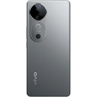 Телефон Vivo V40 12GB/256GB международная версия (титановый серебристый)