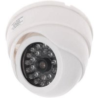 Муляж Orient AB-DM-25W