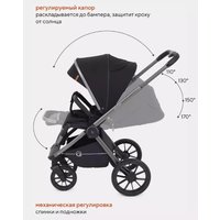 Универсальная коляска Rant Falcon RA097 (2 в 1, черный)