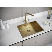 Кухонная мойка Paulmark Next 58 Uni PM215844-BG (золото/брашированное золото)