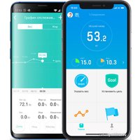 Напольные весы Yunmai Smart Body Fat Scale Pro M1806 (черный)