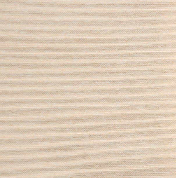 

Рулонные шторы Lm Decor Шайн LM 42-06 61x160