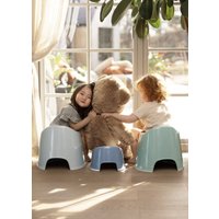 Детский горшок BabyBjorn 0552.68