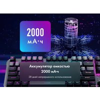 Клавиатура Thunderobot KL5087R