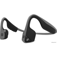 Наушники AfterShokz Trekz Titanium (черный)