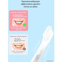 Электрическая зубная щетка Infly Sonic Electric Toothbrush P60 (1 насадка, серый)