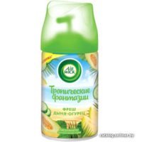 Сменный блок для освежителя воздуха Air Wick Freshmatic 250 мл (фреш дыня-огурец)