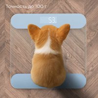 Напольные весы Redmond (Редмонд) SB1811 (голубой)