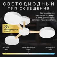 Припотолочная люстра Sundays Home 240924-22 5849