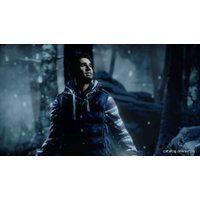 Until Dawn (без русской озвучки) для PlayStation 4