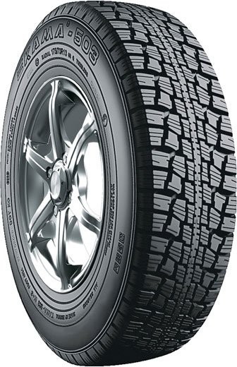 

Зимние шины KAMA 503 135/80R12 68Q (шипы)