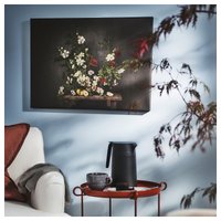 Картина Ikea Pjatteryd 90578902