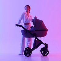 Универсальная коляска Anex E/type 2022 (2 в 1, gothic et-03A)