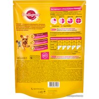Сухой корм для собак Pedigree для взрослых миниатюрных пород с говядиной 600 г