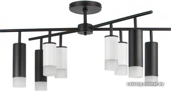 Люстра средней высоты Lightstar Rullo LR7283648741