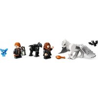 Конструктор LEGO Harry Potter Запретный лес: Волшебные существа 76432