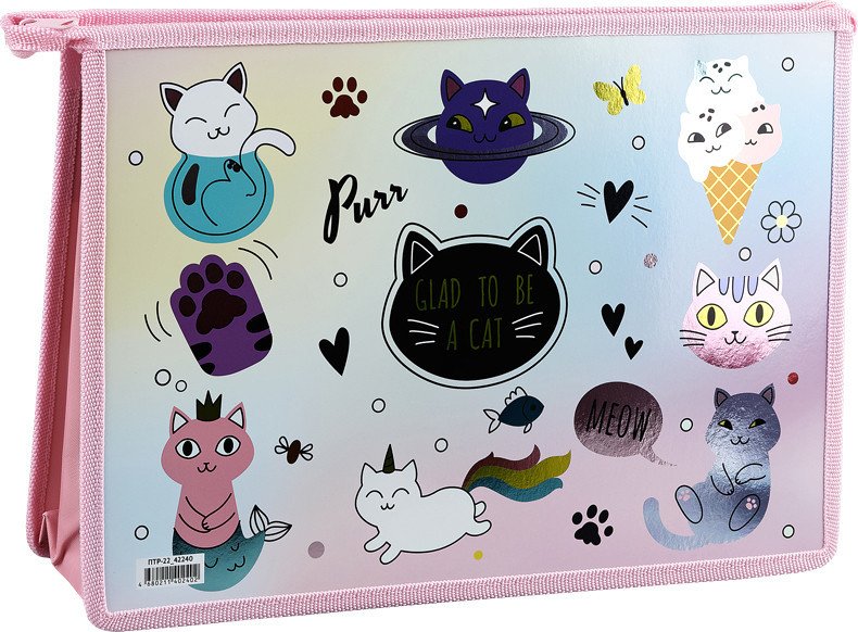 

Папка для тетрадей ArtSpace Glad to be cat ПТР-22_42240