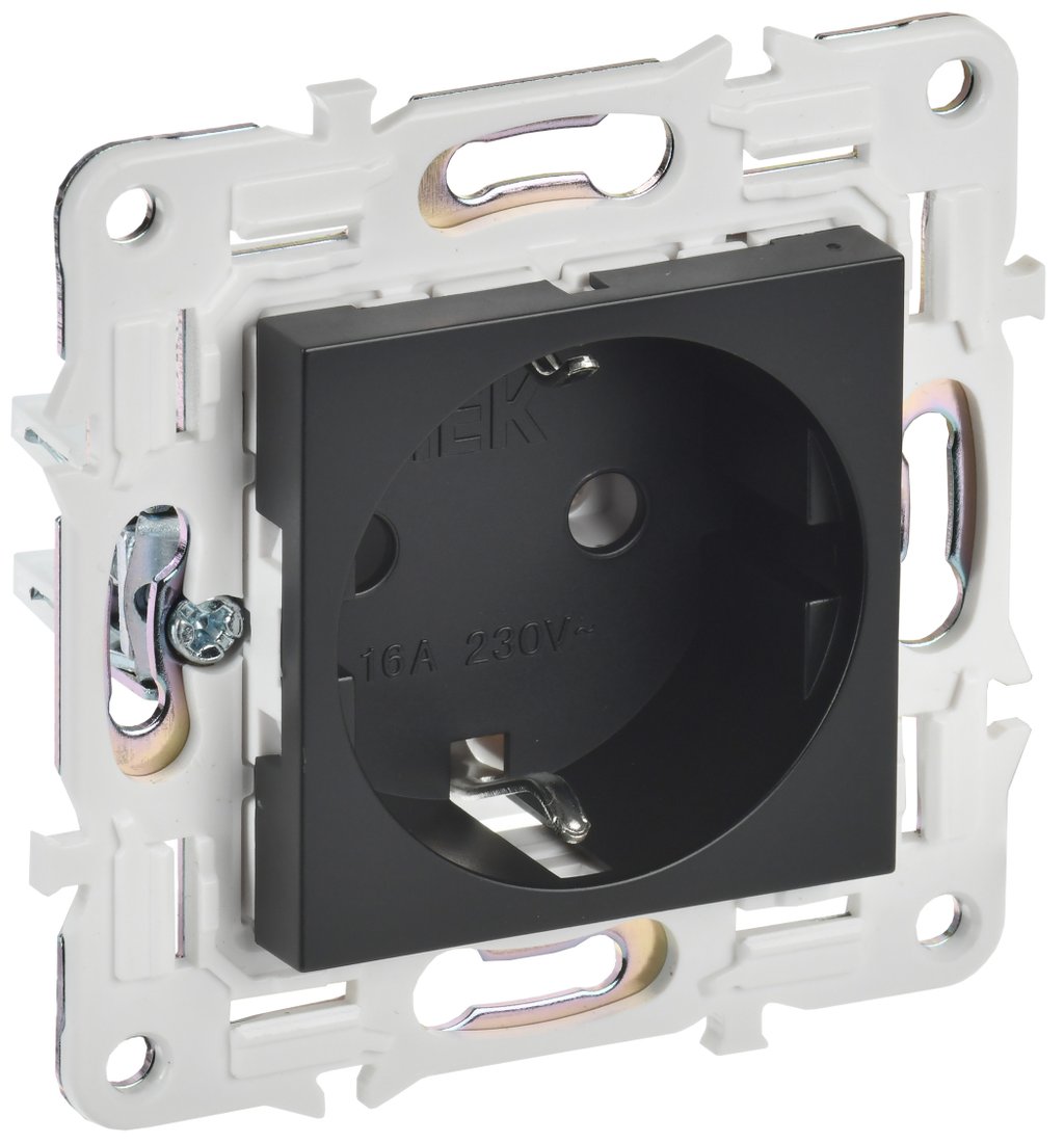

Розетка IEK Skandy SK-R11-16-K02