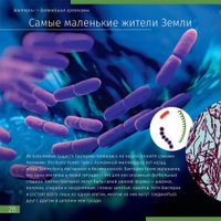  Levenhuk Книга знаний «Невидимый мир»