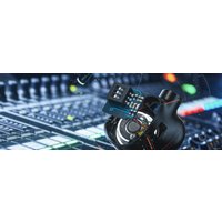 Наушники FiiO FH5s (черный)