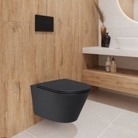 Унитаз подвесной Lauter Longer 2110822B + 21901002 (кнопка прямоугольная, черный/черный)