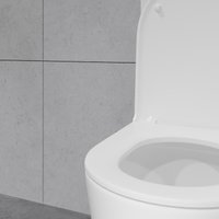 Унитаз напольный Lauter Vortex 2110022VF