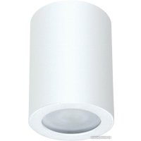 Точечный светильник Arte Lamp Tino A1468PL-1WH