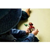 Конструктор LEGO Jurassic World Детёныш динозавра Долорес: Аквилопс 76970