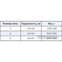 Волейбольный мяч Demix Y9KN0TYFDP (5 размер, синий/зеленый)