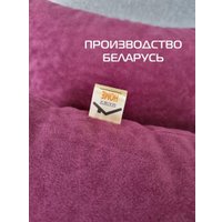 Декоративная подушка Matex Velours 49-821 (2шт, сливовый)