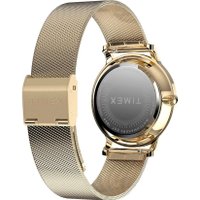 Наручные часы Timex TW2Y10300