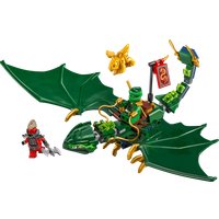 Конструктор LEGO Ninjago 71829 Зеленый лесной дракон Ллойда