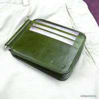 Зажим для денег EZcase Fotis (зеленый)