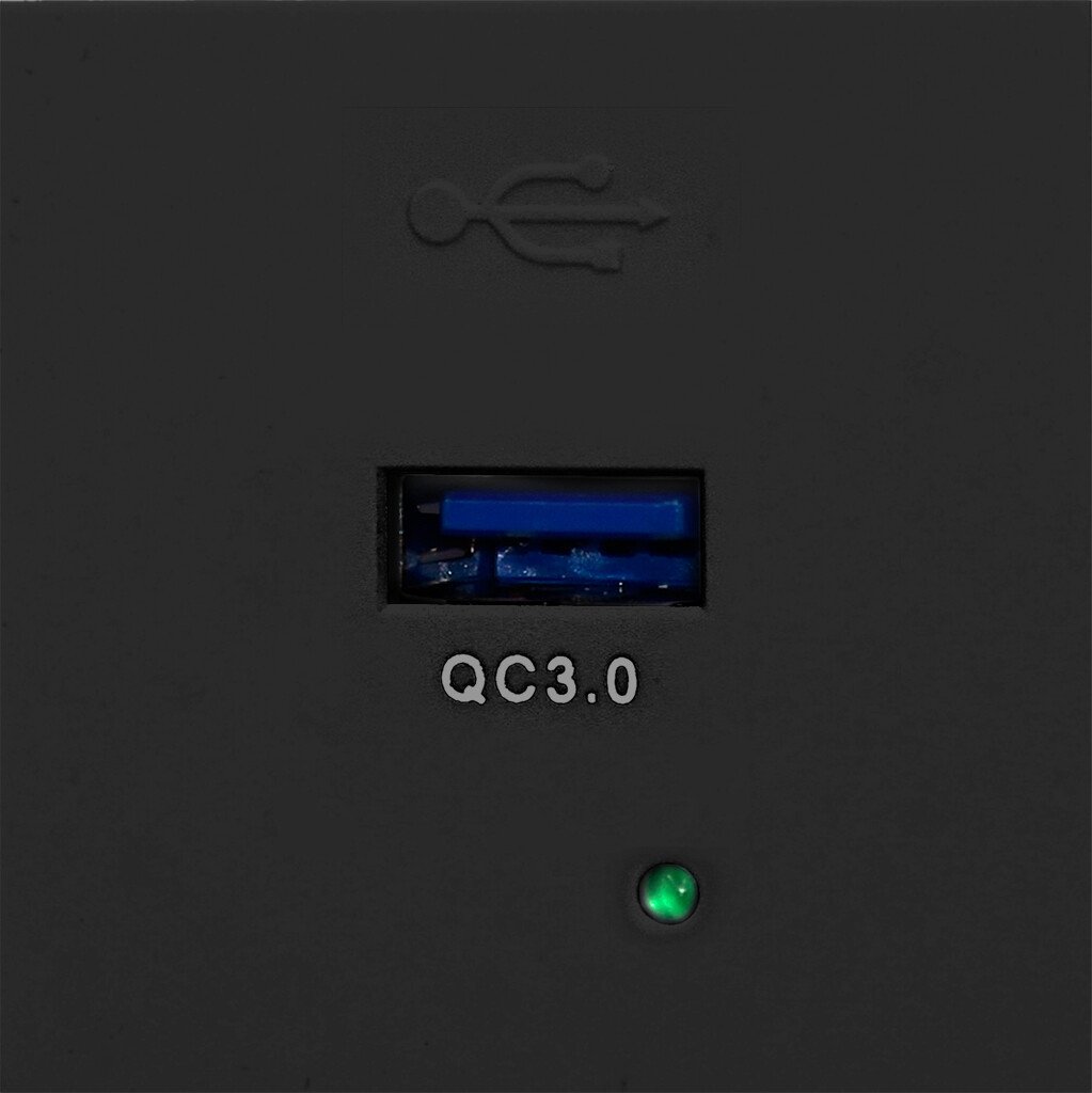

Розетка USB Orno OR-GM-9010/B/USBQ