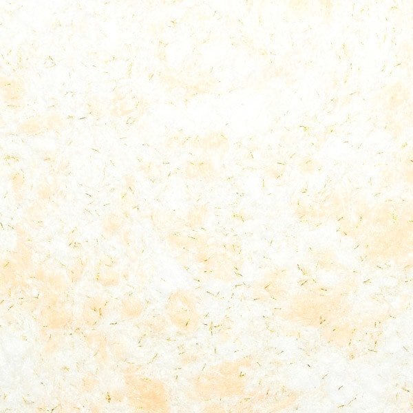 

Жидкие обои Silk Plaster Ecoline 764