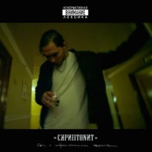 Виниловые пластинки, музыкальные диски и кассеты