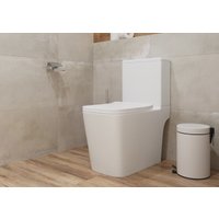 Унитаз напольный Lauter W09 S-TRAP 21900003 + гигиенический душ Rainix 21LT7713MW (вертикальный выпуск)