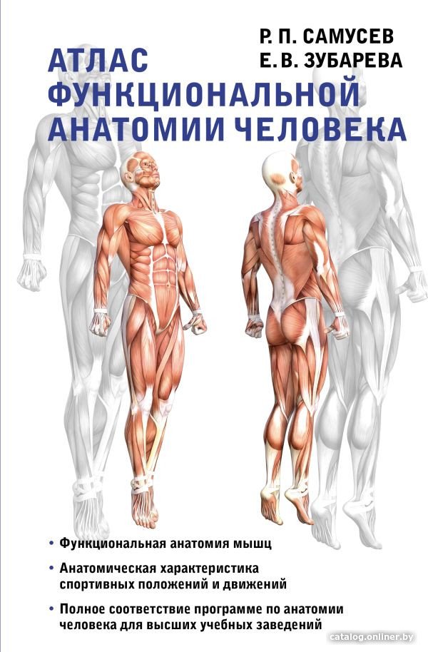 

Книга издательства АСТ. Атлас функциональной анатомии человека (Самусев Р., Зубарева Е.)