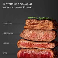 Электрогриль Redmond (Редмонд) SteakMaster GM303 (бронзовый)