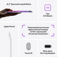 Планшет Apple iPad mini 2021 64GB MK7P3 (сияющая звезда)