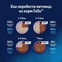 Сухой корм для кошек Felix Двойная вкуснятина с мясом 600 г в Гомеле