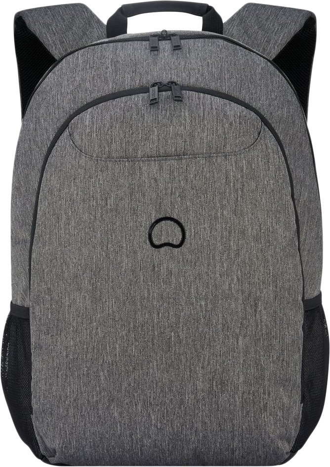 

Городской рюкзак Delsey Esplanade 00394262201