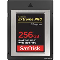 Карта памяти SanDisk Extreme Pro CFexpress Type B SDCFE-256G-GN4NN 256GB
