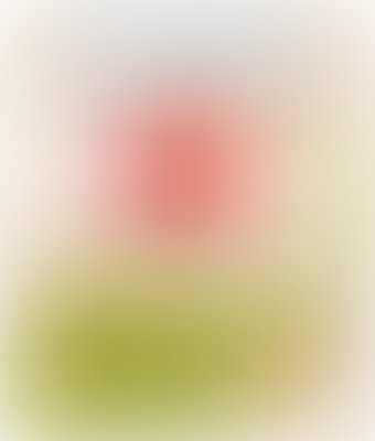 Гладкие презервативы Masculan Organic №3