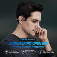 Наушники Vidonn E300 (черный)