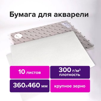 BRAUBERG Art Premiere 113229 (10 л)